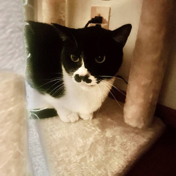 779e0285 46d0 490b b022 d2643790aa2c 1676711962737