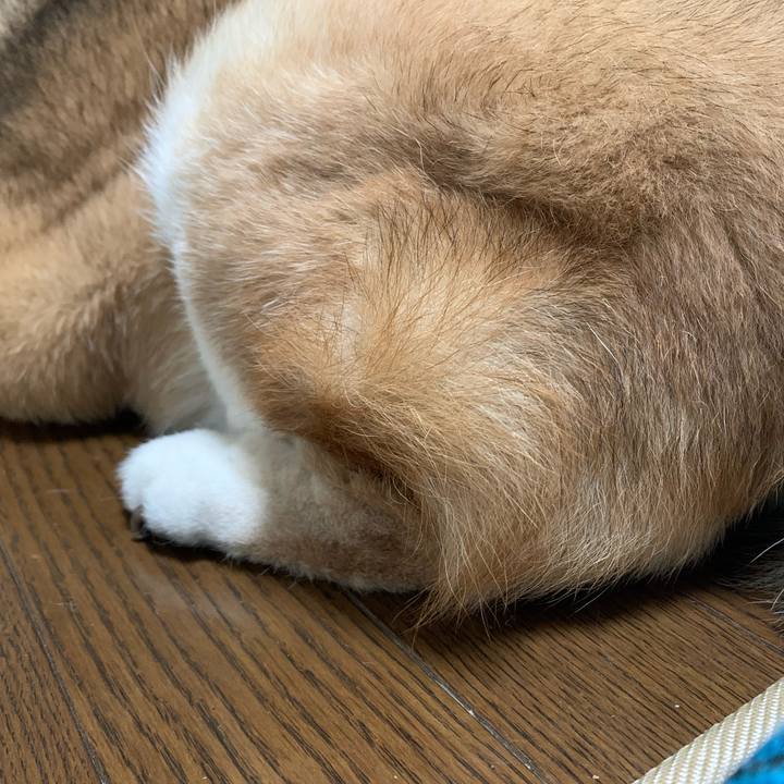 779e3bdd fb6a 458d a5e7 a4331f7178ab 1668853887082