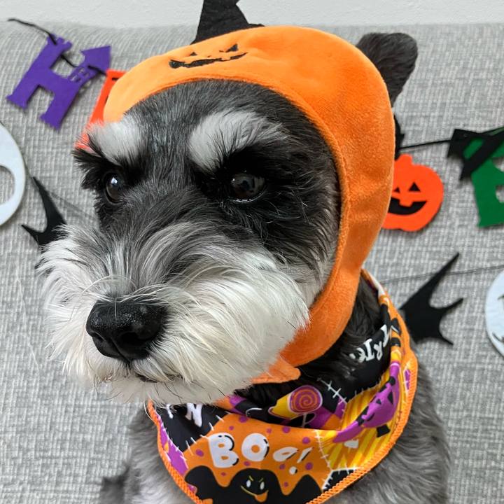 779ea84c 7659 49e8 847c 3e2d18fe47a8 1761875991101