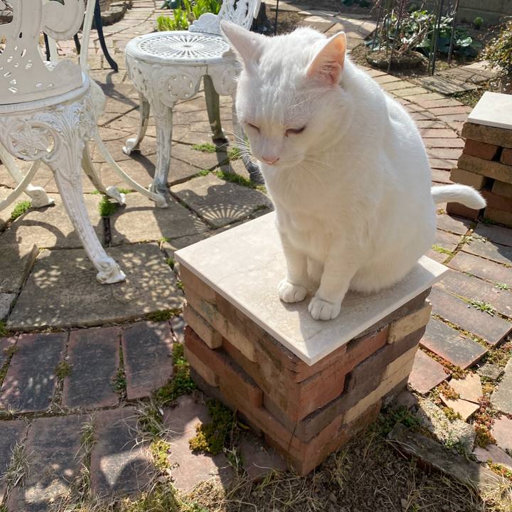 779ec9ac edf1 41d6 ac02 cbaaf9c093de 1646490494127