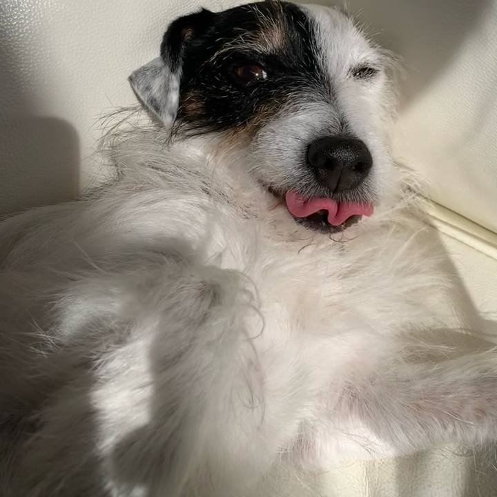 779ee78d af92 4ffe a80d 1e3f1020dede 1738213454021