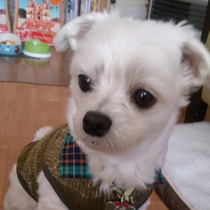 779f7adb fd60 4f31 90d6 523ab17f4c8e 1515930187840