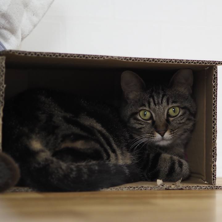 779f8ec0 71fc 4cef ad70 326939461f17 1625982058377