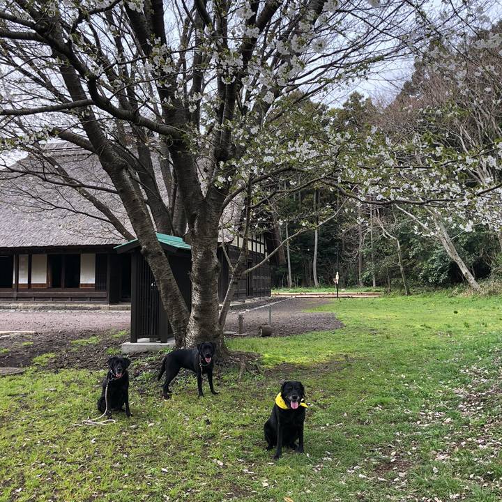 779fc148 3a88 4b49 ab84 6ed727c242f3 1584880140007