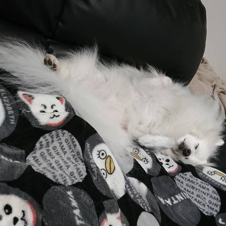 779fd56b 258e 41b5 b4ac 1772c86f01fc 1605280760502