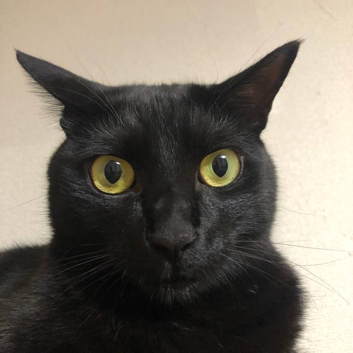 779fde72 792f 4116 aaa3 a6c2b93c2e48 1561638930093