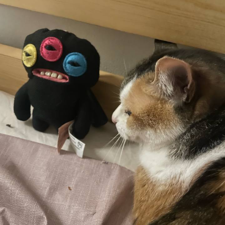 77a01f3b 9f90 40a6 ac3f e6f3f5d571c2 1772385328954