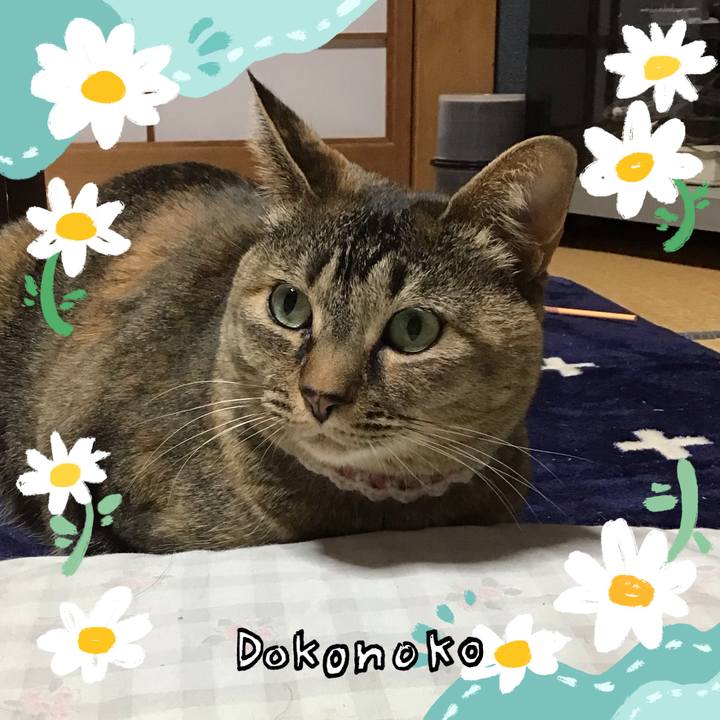 77a038ec c109 4cd8 ba80 dd42959abefa 1712228648770