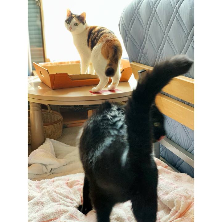 77a04099 1a14 4440 b102 8e87fceaa7e9 1597627417413