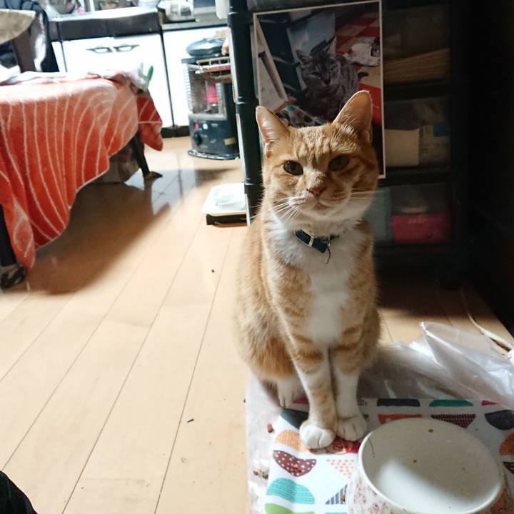 77a07574 1756 42f0 a96c 04b64091be82 1605123269550