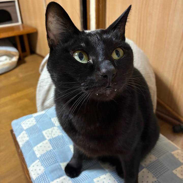 77a07fe5 446d 469c bfa8 107f96b50373 1768387148346