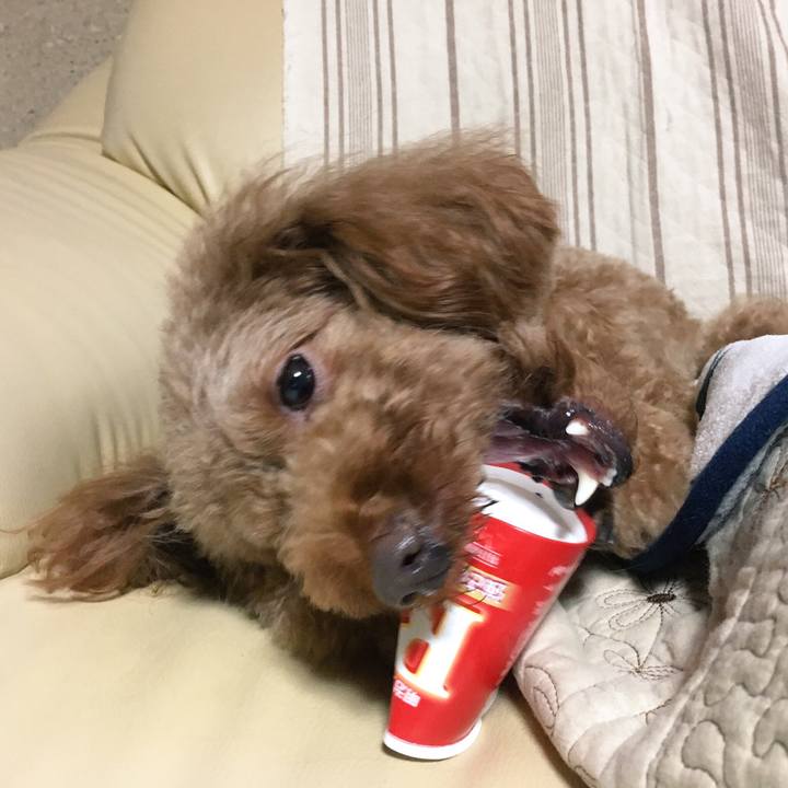 77a0f59f d588 4c93 8561 53e1dc2ac4d4 1508128370660