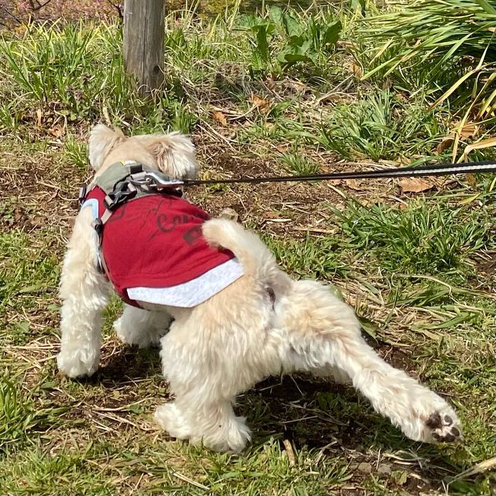 77a0f978 3ec3 49f1 a212 6772ccb9358a 1648031422236