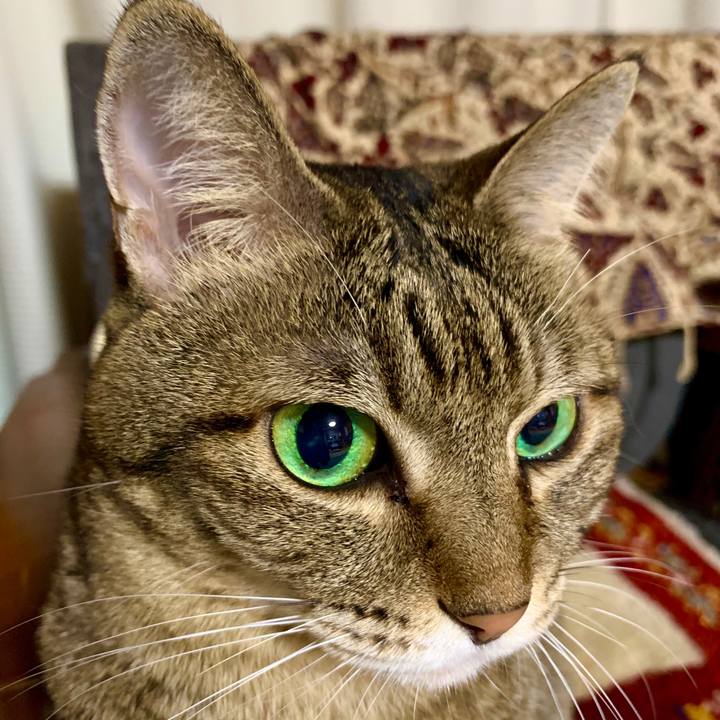 77a1264a 48a1 424d 9e3a cc9a84a43215 1601128903174