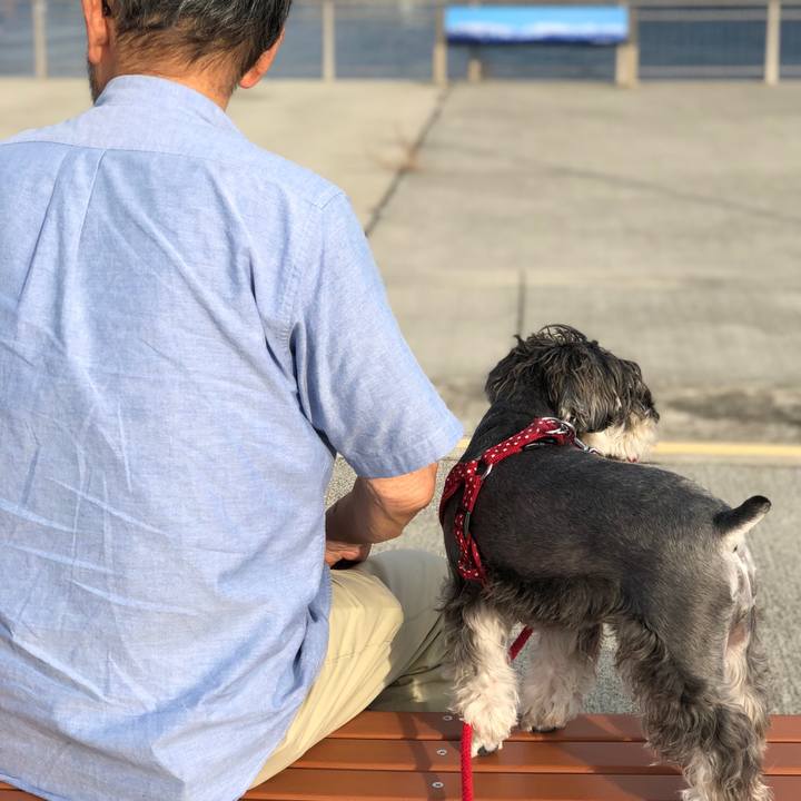 77a12a4f afc1 4865 b265 259c1baa4d5c 1539336154392