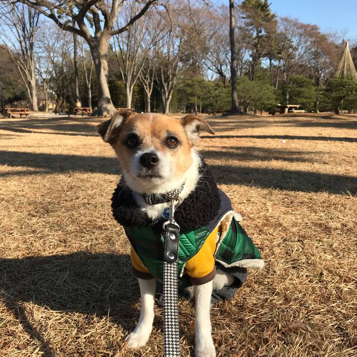 77a13db0 3e66 4c56 9542 a847713aaa71 1547604441593