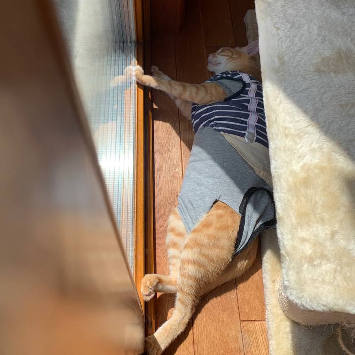 77a13e82 bfc2 4bce 9ccc 0e8f0933b142 1650170284971