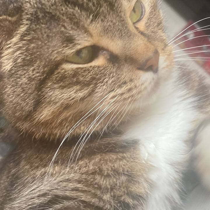 77a1ae35 53ca 42bc aa1f c23fe5b48a42 1749962788803