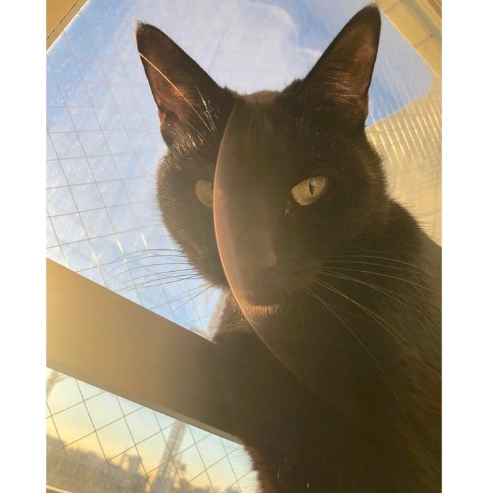 77a1ae66 cb3d 4191 ac24 ca36ff3c5714 1546385135258