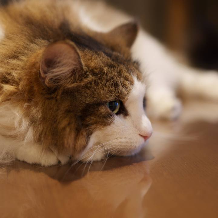 77a1cf69 98f4 4d57 a85c 4b268acb4684 1757503248409