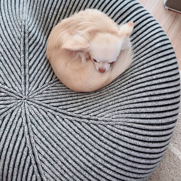 77a29a62 7d3a 499c bdae cb84f3c02501 1713309406612