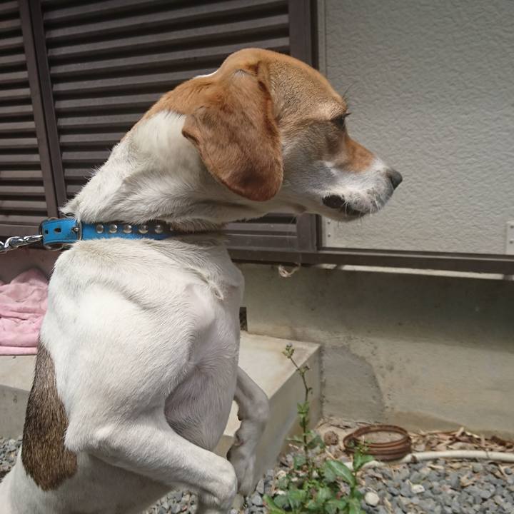 77a2c305 02f3 422e a779 5769f2bc897f 1560650010680