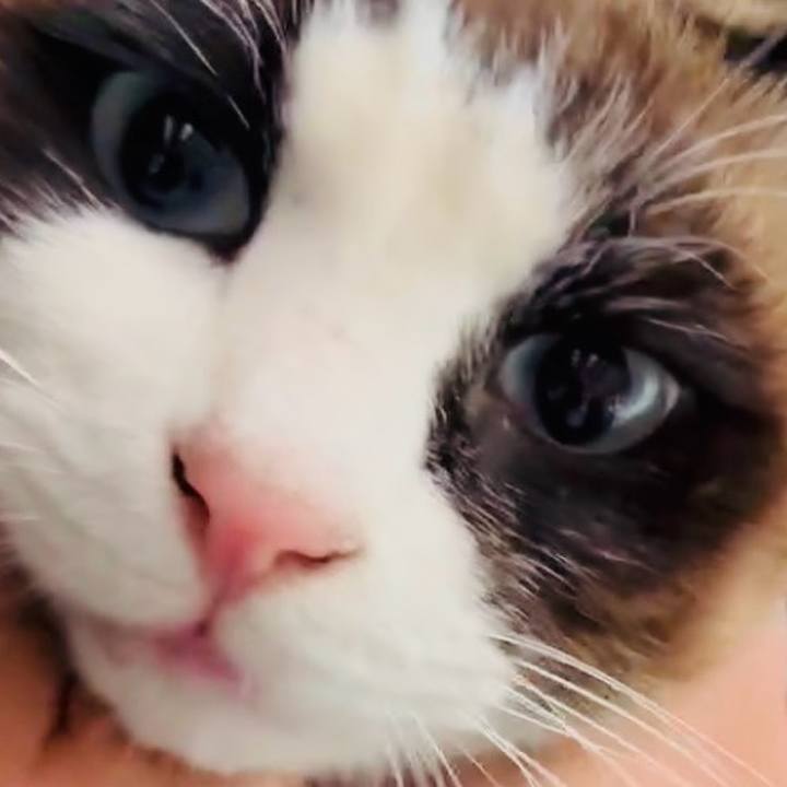 77a2c7a0 84f1 40a2 9888 692ec4058637 1768908182891