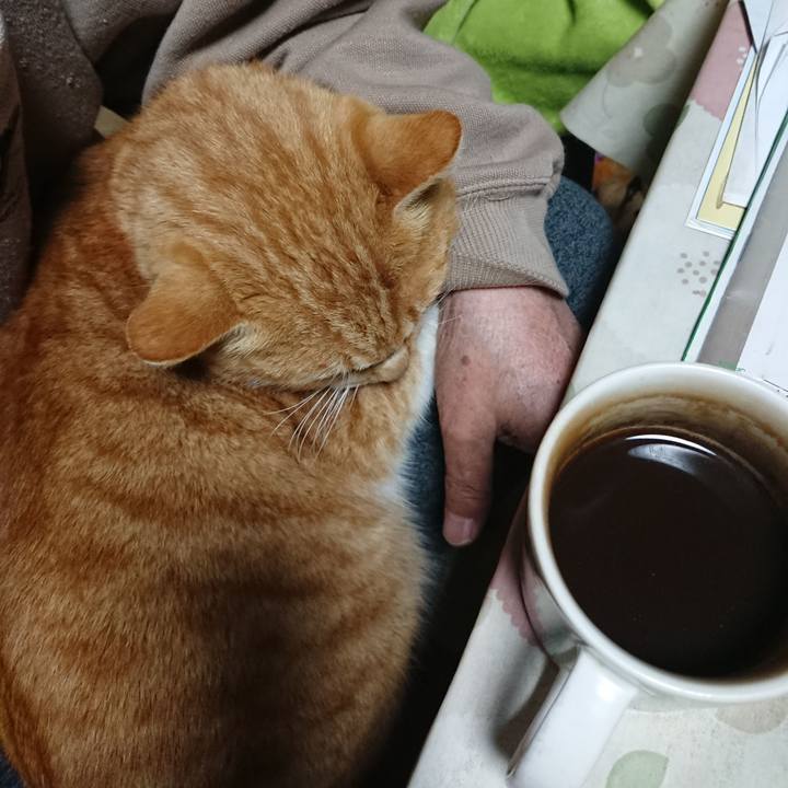 77a2ec0c 4697 4b0b 957e 3d3c10b6b517 1583267878673