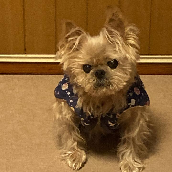 77a3965c bd74 4c7f 9223 c5968df1f1b6 1609974715063