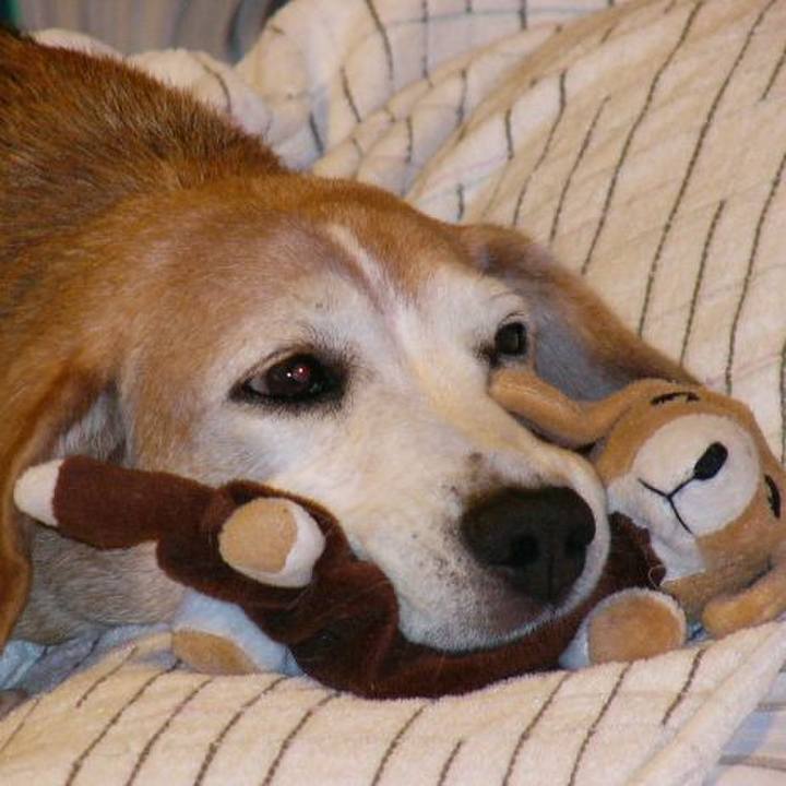 77a414c9 c0c0 47bf 8ce4 578cb2279b09 1646960971731