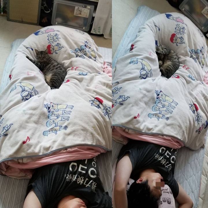 77a4191b 2d5d 4584 9c22 5bad23ad2792 1690029628386