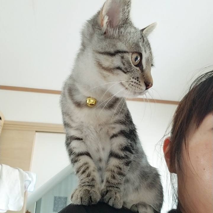 77a4bf14 200c 469a aeb6 78d4ad9bfbc8 1666183923622