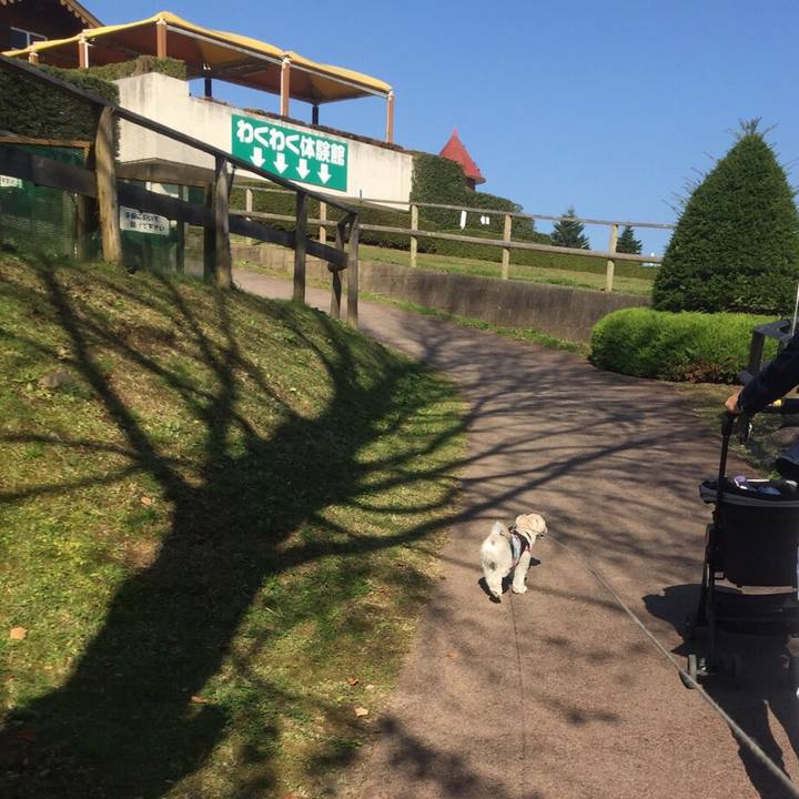 77a4e1a8 bfaf 48e9 a224 965c3dca83b3 1509363823279