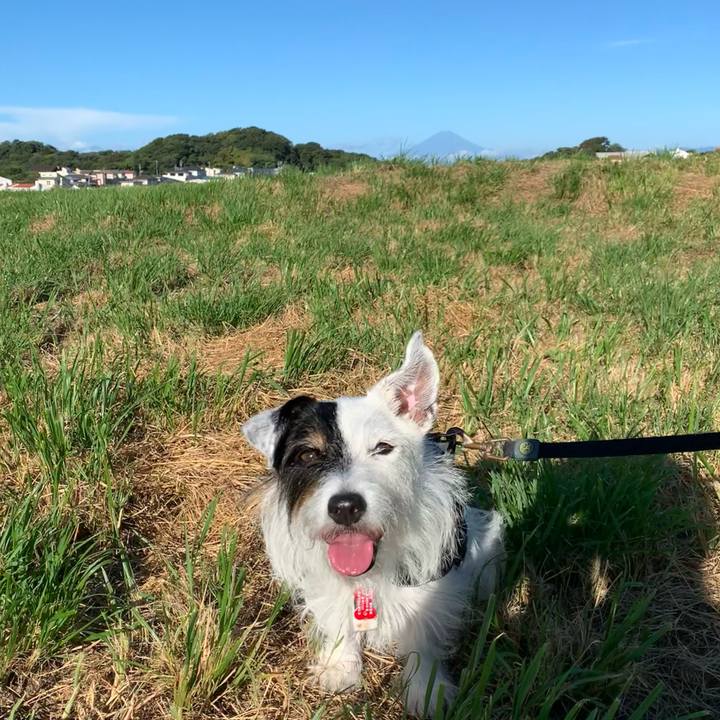 77a4f131 f29f 4289 852b d0f441ba6e4d 1695077367798