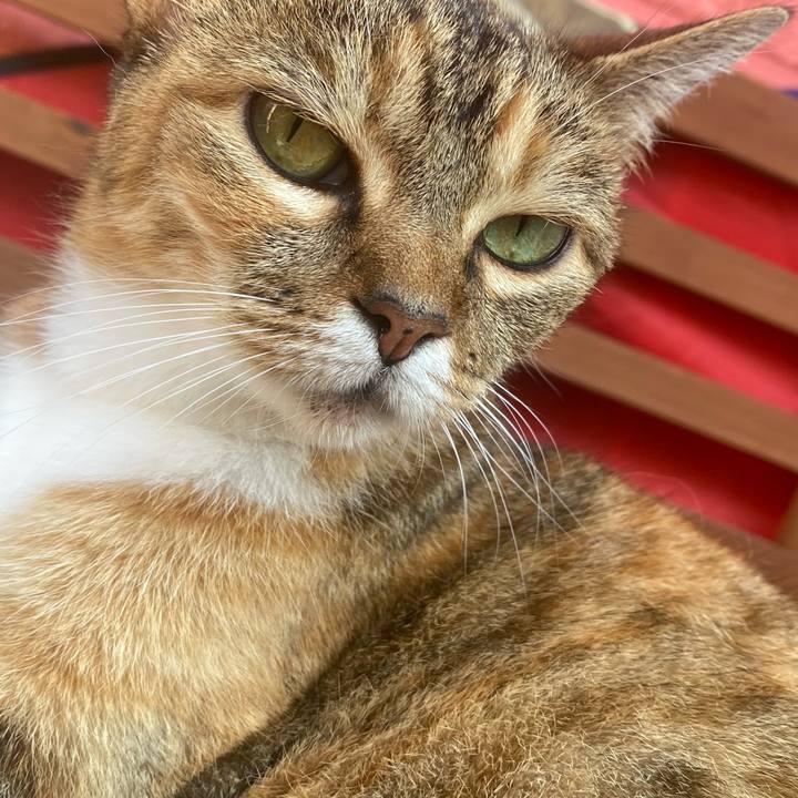 77a516dd 10a9 4b28 ae35 7b9e364dfab9 1625898214163