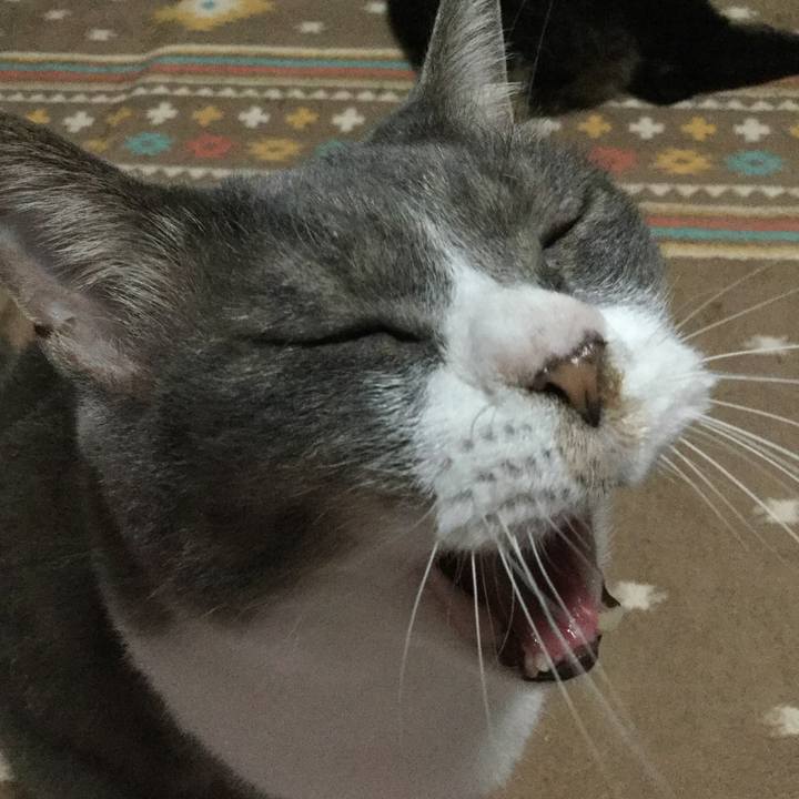 77a51d3c af50 4fbe 9830 cc677125af6e 1563024530980