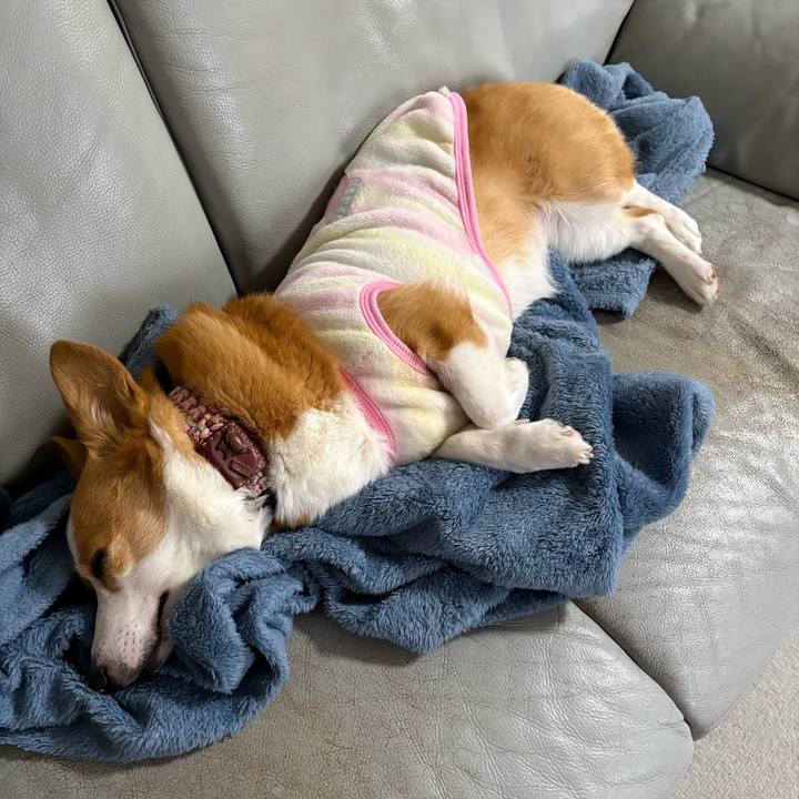 77a5523d 8337 4e2d 8036 52b2c48a3dff 1767747947411