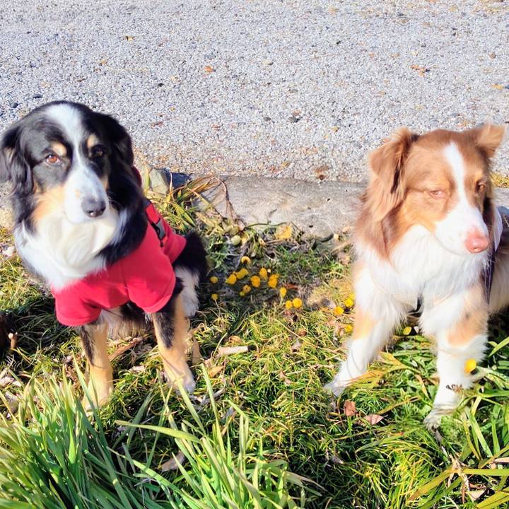 77a56d9b e768 45be a694 3bd9241df98c 1771068707589