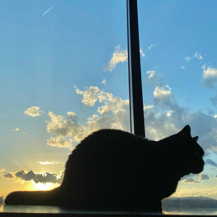 77a5906f 6dd4 45e8 9b50 7bb23b86dcdb 1669445970014