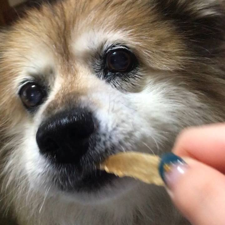 77a5a67d a09f 4137 86d7 0e0f1f55d72e 1624181334785