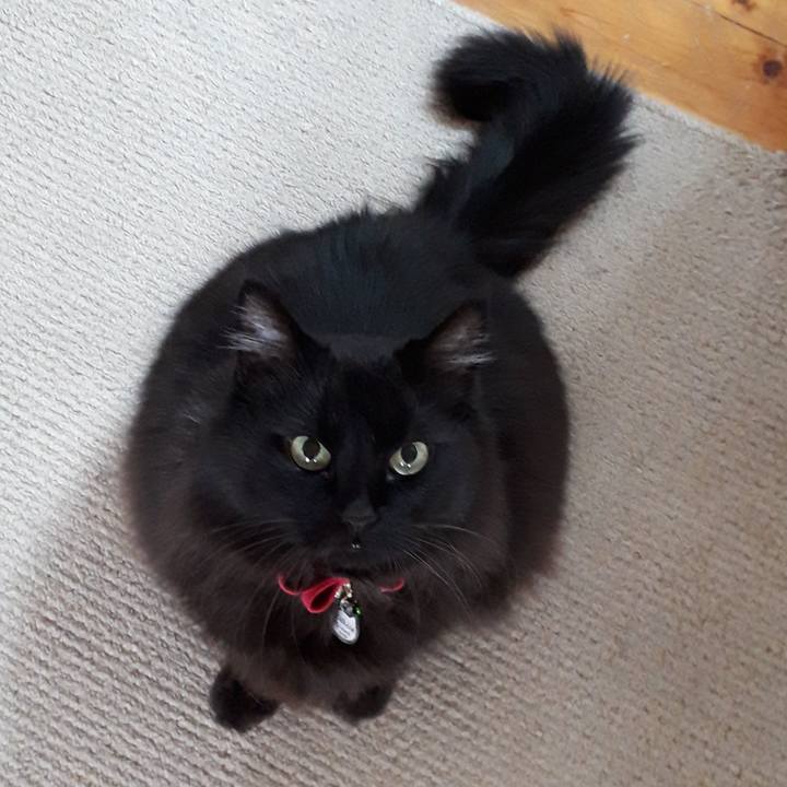 77a5b605 9379 407a b212 19f86ec8edd0 1519255110327