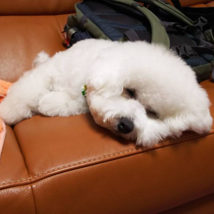 77a5d08f 6662 4fdf a483 8cf8281347d9 1513774733411