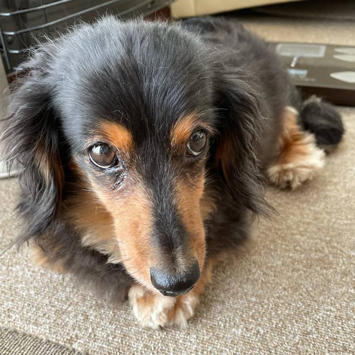 77a623ce dba5 406d b66b 400f2e3333eb 1624571187719