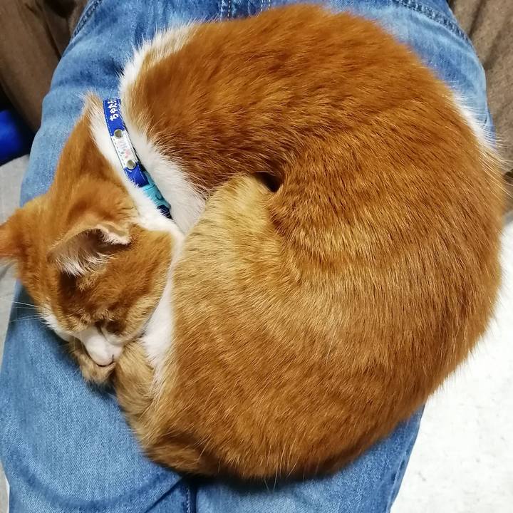 77a63622 8204 49af a617 e13972bba27d 1637496731776