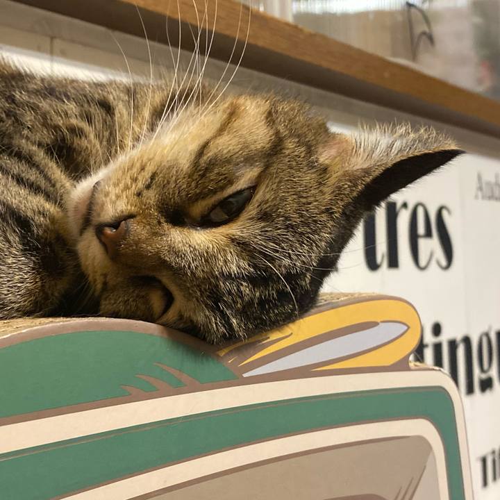 77a64507 b75c 4982 a696 2ba9afab84ff 1631880888506