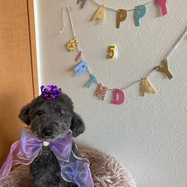 77a648c7 7c32 490e 8b07 9f31ea58b691 1675487358114