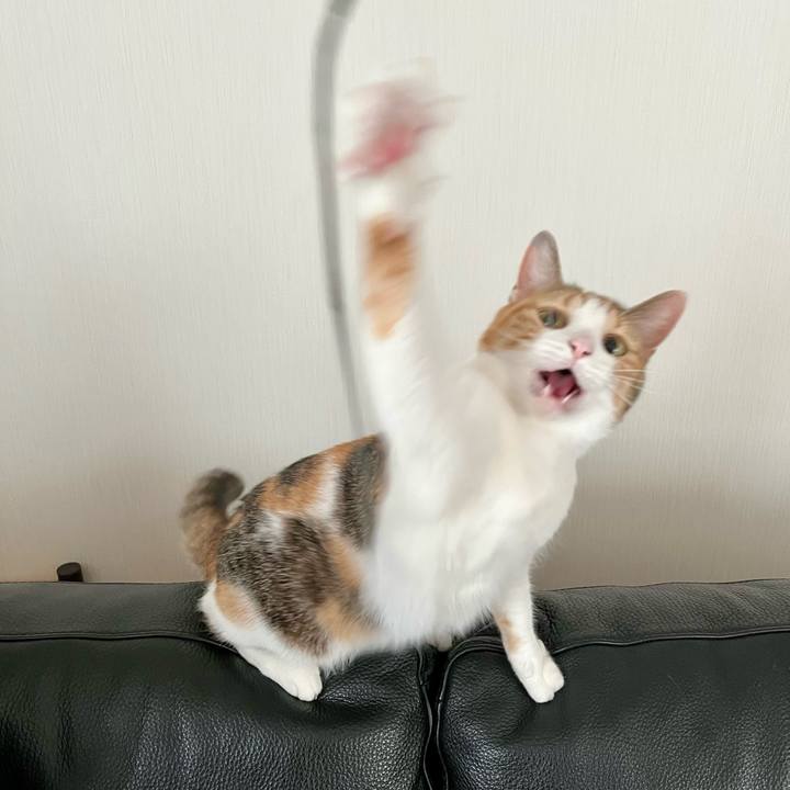 77a64993 4a78 4fb2 aca1 796aab4f9d85 1759462840337