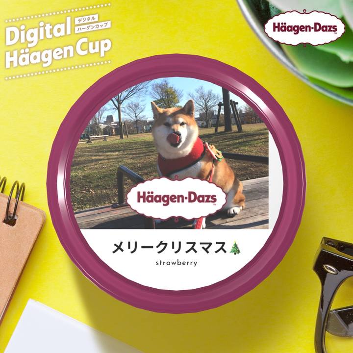 77a651c6 c063 4fe9 81db 04d14a60ce6a 1607456204056