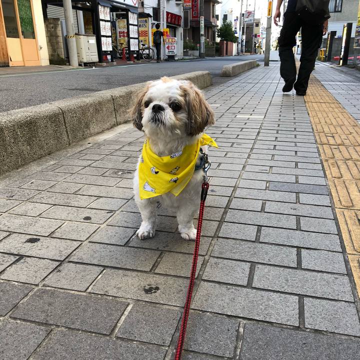 77a670f0 7508 4b91 a655 765fec76fe88 1531690552036