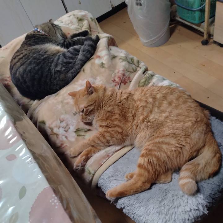 77a67225 a051 46a1 b94b 6baa1b3fcf5a 1673569405268